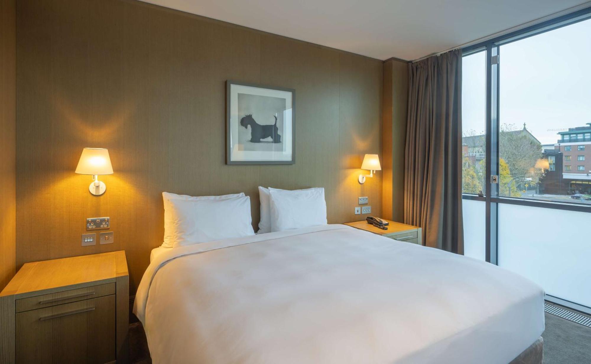 Radisson Blu Royal Hotel Dublin Kültér fotó